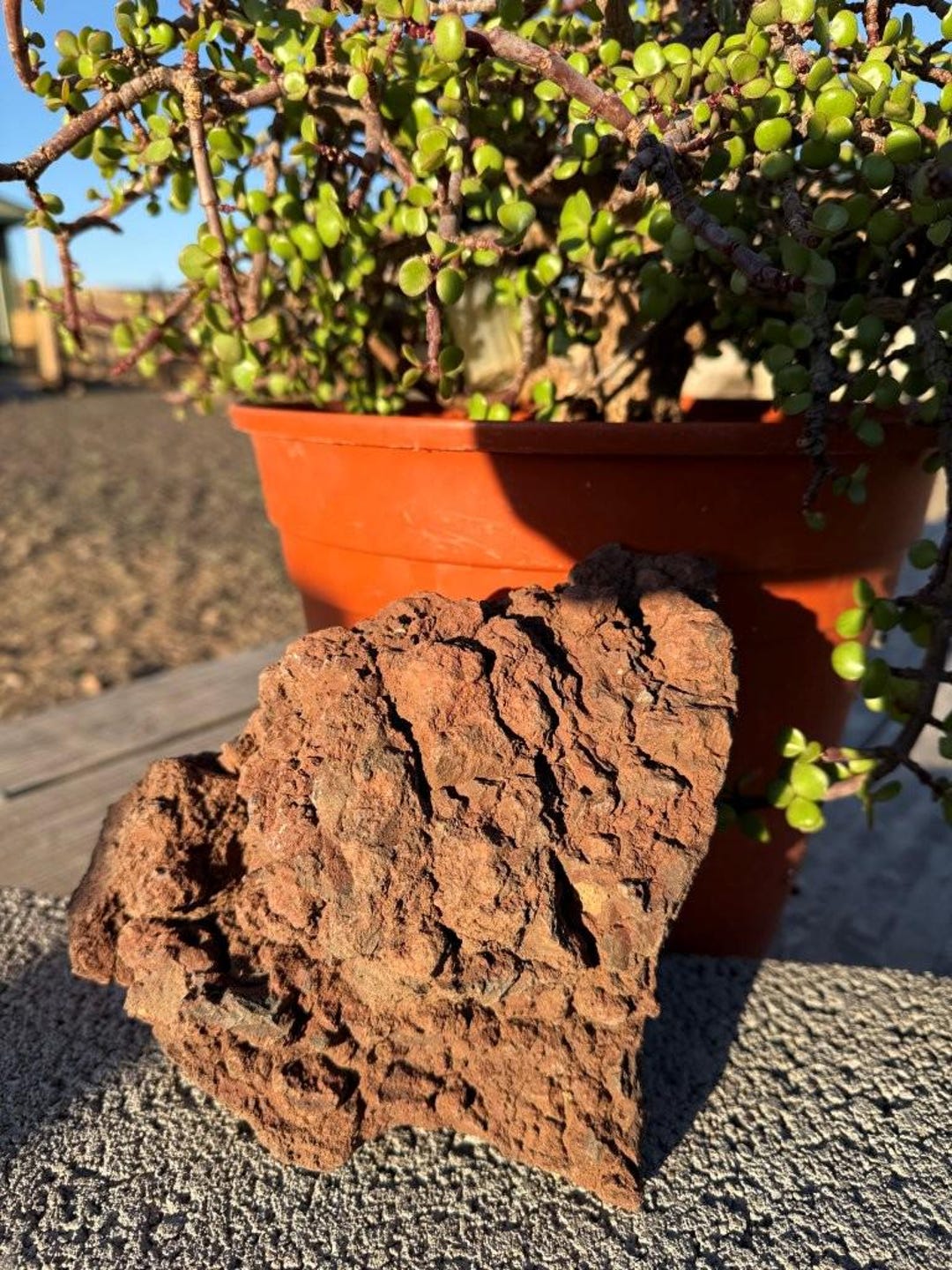 One Large, Red Lava Rock – Perfect for Terrariums, Aquariums ...