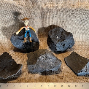 Five Large, Black Lava Bomb Segments – Perfect for Aquariums, Terrariums, Succulents