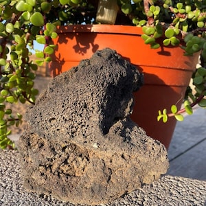 One Large, Black Lava Rock – Perfect for Terrariums, Aquariums, Succulents
