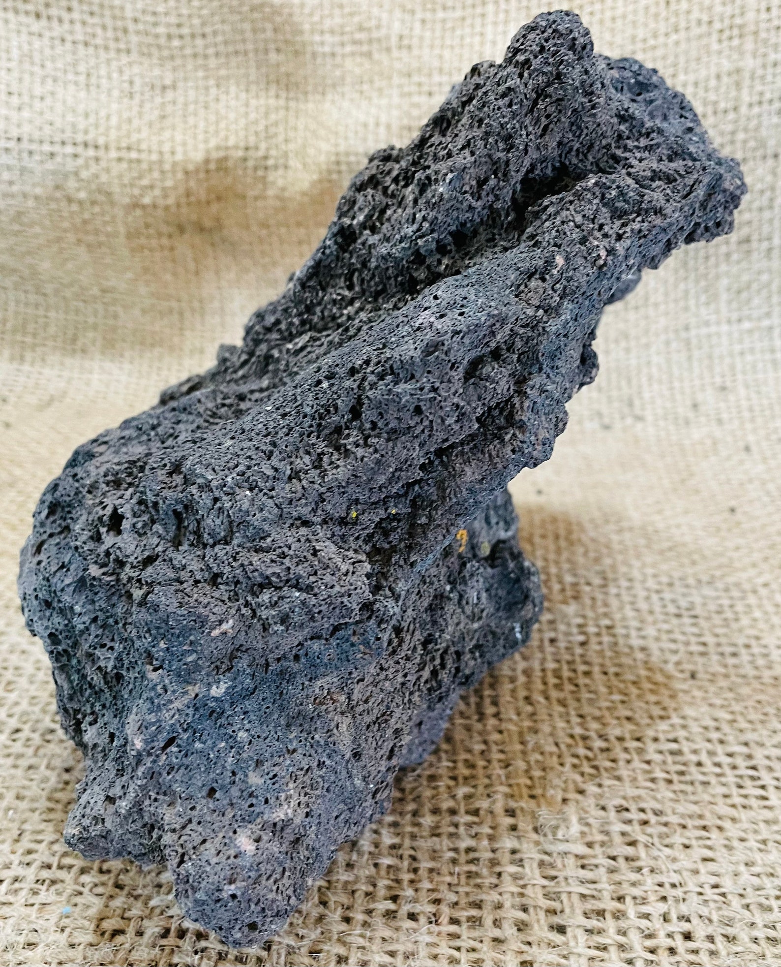 One Large Lava Rock Perfect for Aquariums Terrariums Etsy