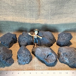 8 Black Lava Rocks – Perfect for Aquariums and Terrariums