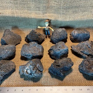 12 Black Lava Rocks – Perfect for Aquariums and Terrariums