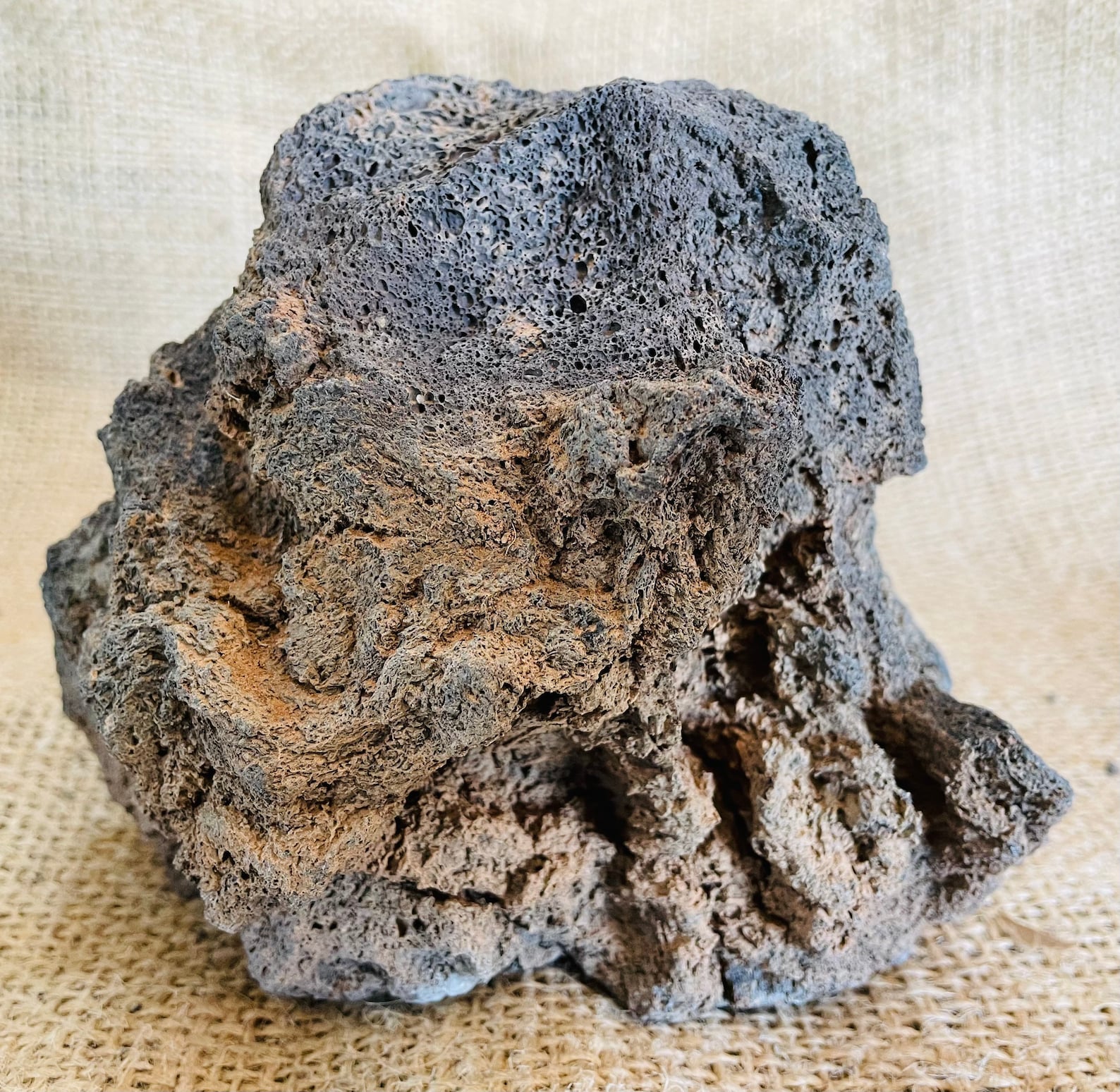 One Large Lava Rock Perfect for Aquariums Terrariums Etsy