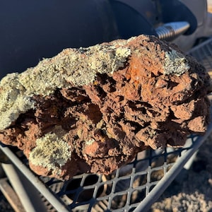 May include: A rough, reddish-brown rock with a textured surface and patches of light green and beige lichen. The rock is resting on a metal grate, with a blurred background.