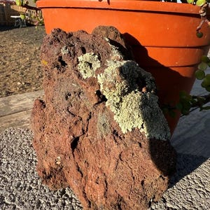 May include: A rough, reddish-brown lava rock with patches of light green lichen. The rock is positioned in front of an orange terracotta pot holding a green plant. The rock sits on a gray, textured surface.