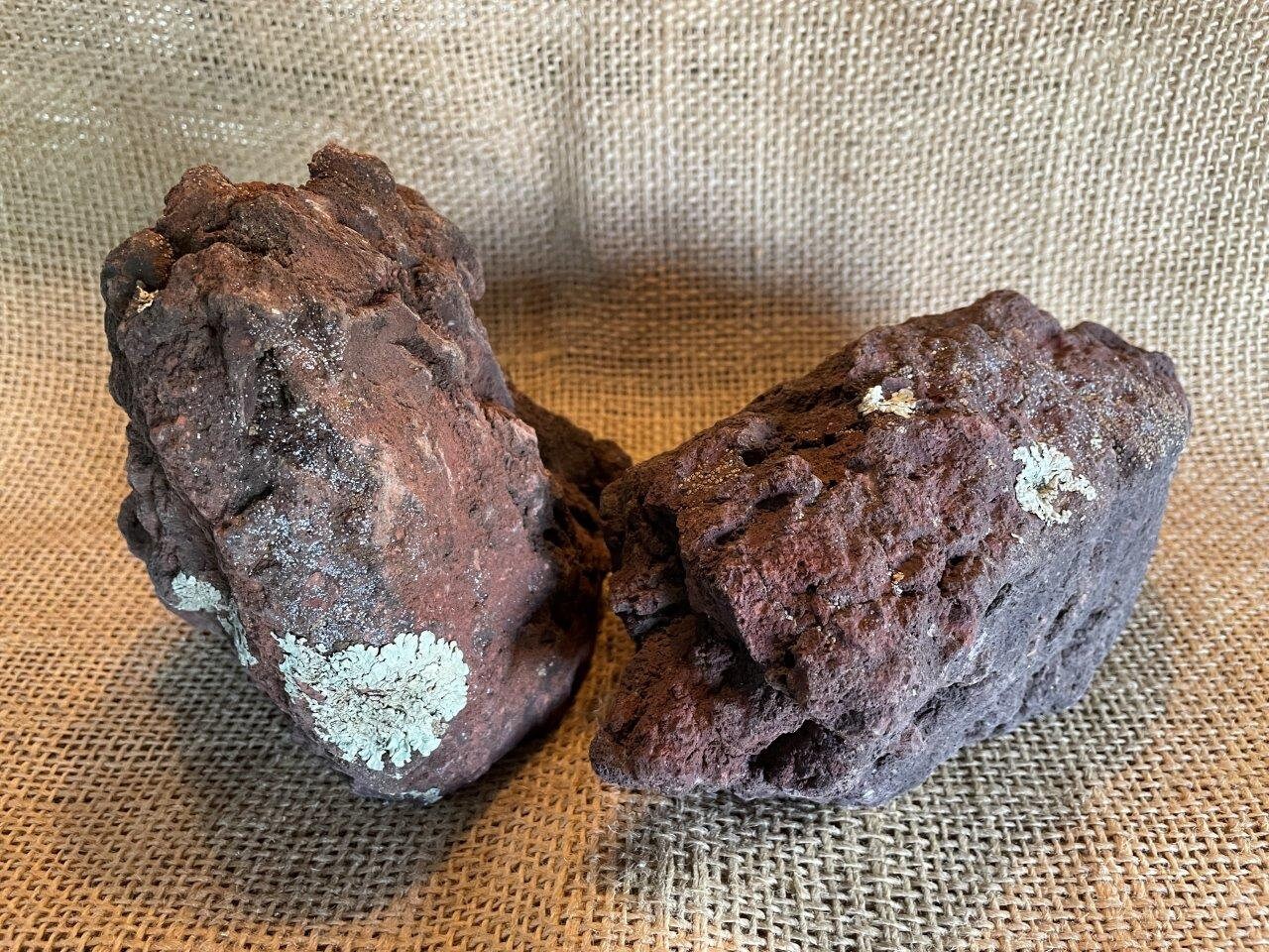Two Large, Red Lava Rocks, Perfect for Succulents, Aquariums, and More ...