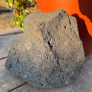 One Large, Black Lava Rock – Perfect for Terrariums, Aquariums, Succulents