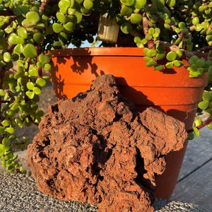 One Large Red Lava Rock – Perfect for Aquariums ,Terrariums, Succulents
