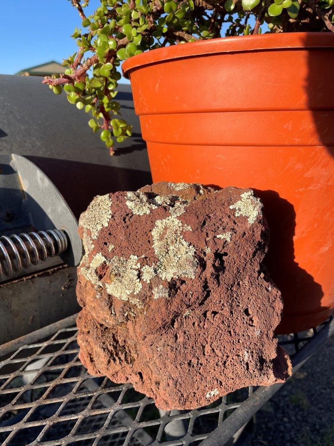 Large Rocks Planters One Large, Unique Lava Rock Planter – All Natural, Perfect for ...