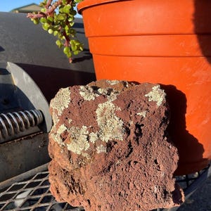 May include: A large, rough, red-brown rock with white lichen growing on it. The rock is sitting on a black metal grate.