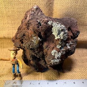 May include: A large, rough, dark brown rock with patches of light green and white lichen. A small Woody toy figure stands next to the rock. A ruler is at the bottom of the image.