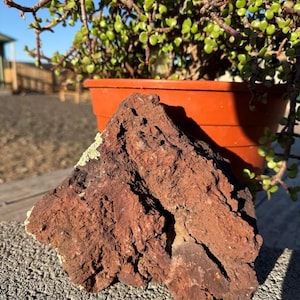 May include: A rough, reddish-brown rock with a textured surface. The rock is in front of a terracotta-colored pot holding a green plant with small, round leaves. The scene is outdoors with a clear blue sky.