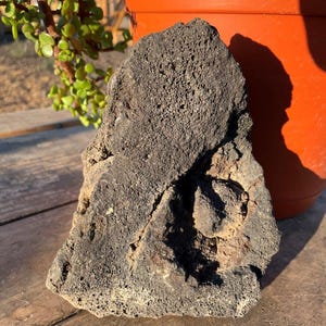 One Large, Black Lava Rock – Perfect for Terrariums, Aquariums, Succulents