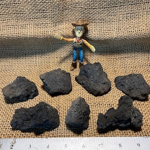 7 Black Lava Rocks – Perfect for Aquariums and Terrariums