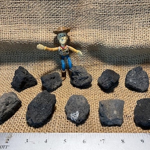 10 Black Lava Rocks – Perfect for Aquariums and Terrariums
