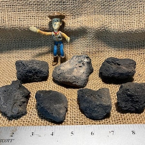 7 Black Lava Rocks – Perfect for Aquariums and Terrariums