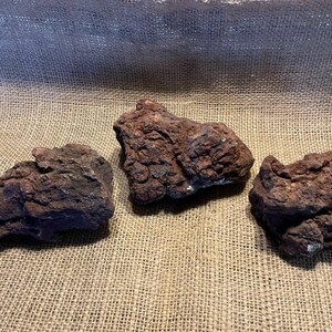 Three Large, Red Lava Rocks, Perfect for Succulents, Aquariums, and ...