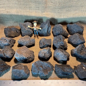 20 Black Lava Rocks – Perfect for Aquariums and Terrariums