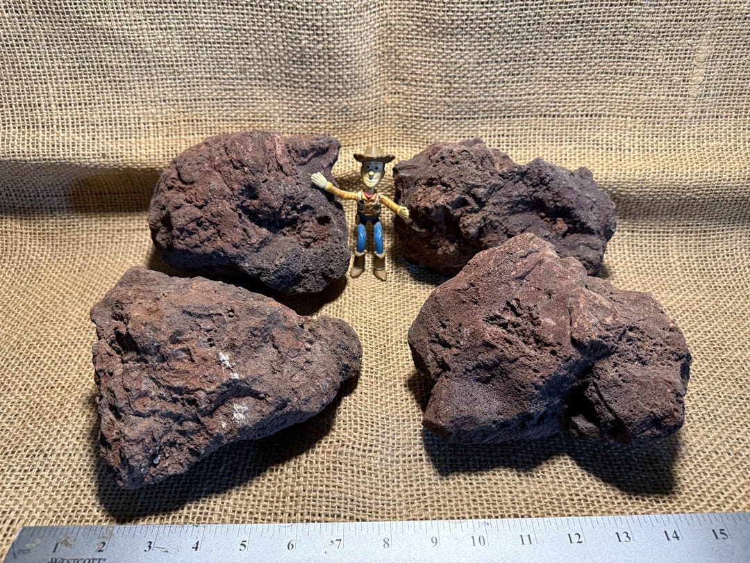 SPECIAL OFFER! 4 Large, Red Lava Rocks – for Aquariums Succulents ...