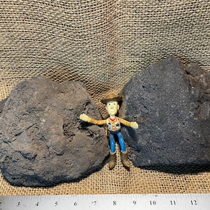 Two Large, Black Lava Bomb Segments – Perfect for Aquariums, Terrariums, Succulents