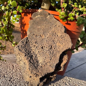 One Large, Black Lava Rock – Perfect for Terrariums, Aquariums, Succulents