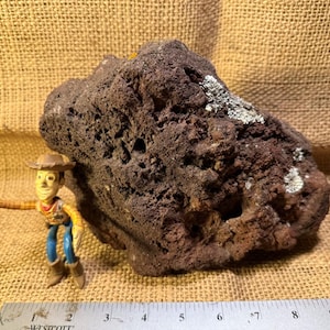 May include: A large, dark brown porous rock with a small amount of white mineral deposits. A toy figure of a cowboy stands next to the rock. A ruler is at the bottom of the image.
