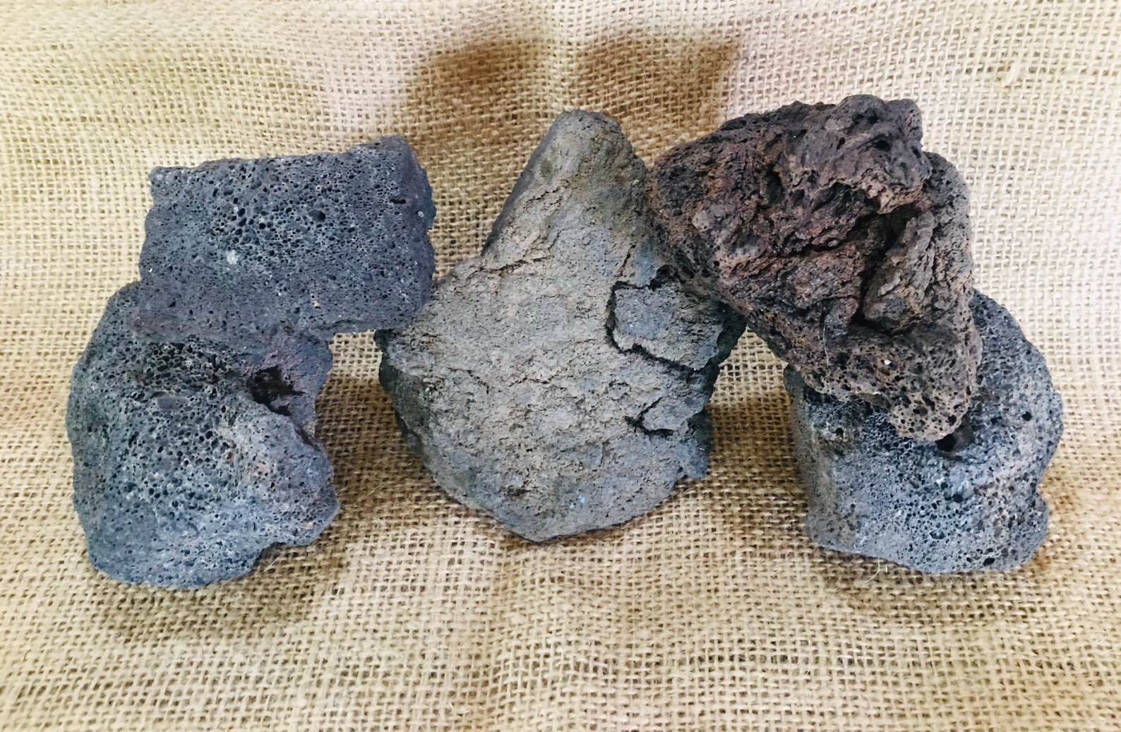 5 Large Lava Rocks Perfect for Aquariums Terrariums Etsy
