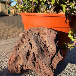 May include: A rough, reddish-brown lava rock sits in front of an orange plant pot. The rock has a porous texture and irregular shape. A green succulent plant with small, round leaves is in the pot. The scene is outdoors in natural light.