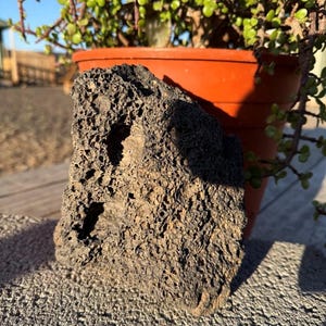 May include: A dark gray, porous lava rock with a rough texture. The rock is in front of a terracotta-colored pot with a green plant. The rock is sitting on a concrete surface.