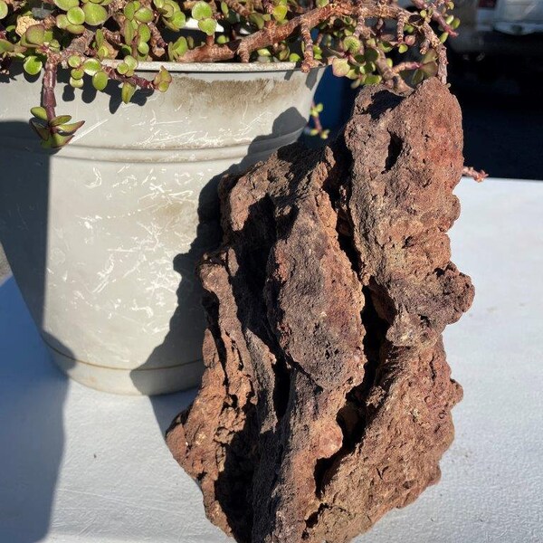 One Large, Unique Lava Rock Planter– All Natural, Perfect for Succulents and Air Plants