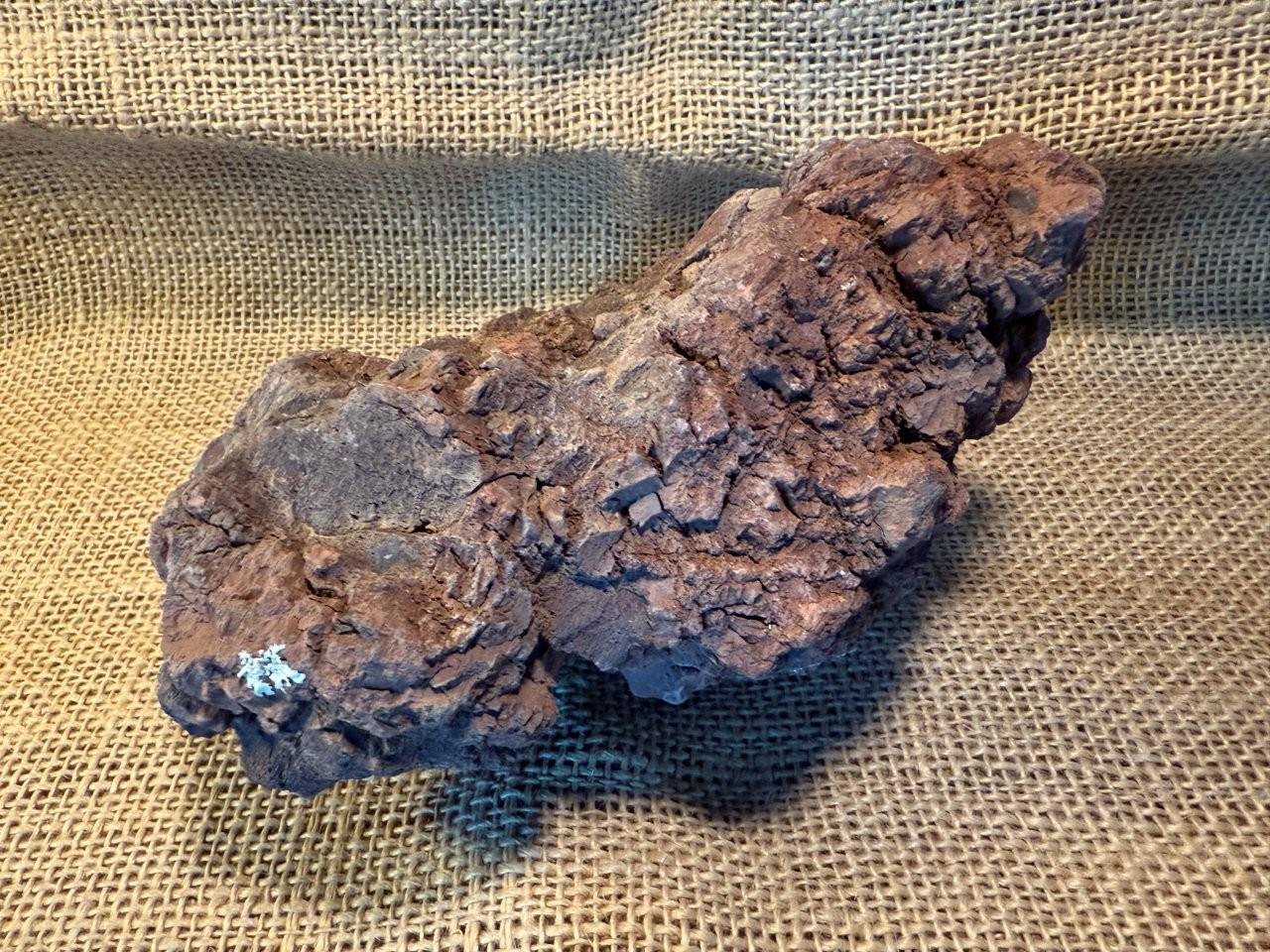 One Large, Red Lava Rock – Perfect for Terrariums, Aquariums ...