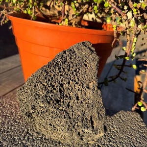 May include: A porous, dark gray lava rock sits in front of an orange plant pot filled with a green leafy plant. The rock has a rough, textured surface with many small holes. The plant pot is made of plastic.
