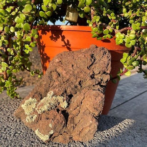 One Large Red Lava Rock – Perfect for Aquariums ,Terrariums, Succulents