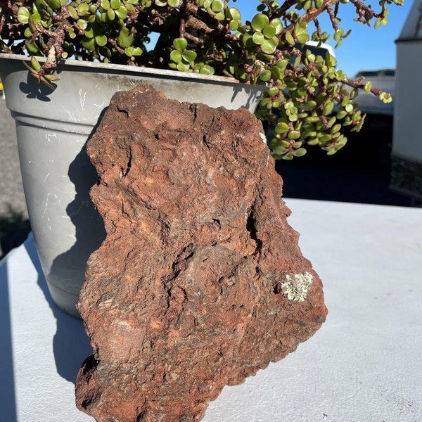 One Large, Unique Lava Rock Planter– All Natural, Perfect for Succulents and Air Plants