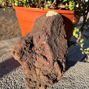 May include: A rough, reddish-brown lava rock with a textured surface. The rock is in front of a terracotta-colored pot with a green plant. The plant has small, round green leaves and reddish stems.