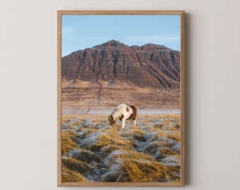 Stampa di cavalli islandesi, fotografia di paesaggi nordici, arte murale minimalista