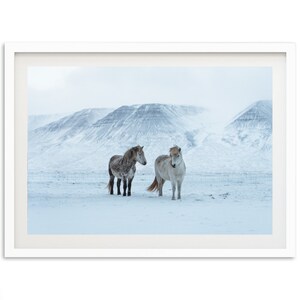 Stampa fotografica invernale di un cavallo islandese, decorazione murale minimalista in Islanda