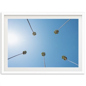 Palm trees Photography Print for Wall Decor, Beverly Hills Los Angeles California