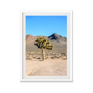 Joshua Tree Print, National Park Photography, Boho Wall Decoration, Joshua Tree Wall Art