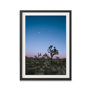 Joshua Tree Print, National Park Print for Wall Decoration, Cactus Trees Landscape, Joshua Tree Photography