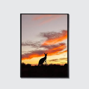 Kangaroo Print, Australian Wildlife Photography, Kangaroo Wall Art, Nature Travel Print, Australian Outback, Sunset Decor
