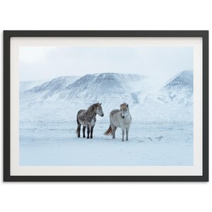 Stampa di cavalli islandesi, fotografia minimalista islandese, decorazione murale islandese