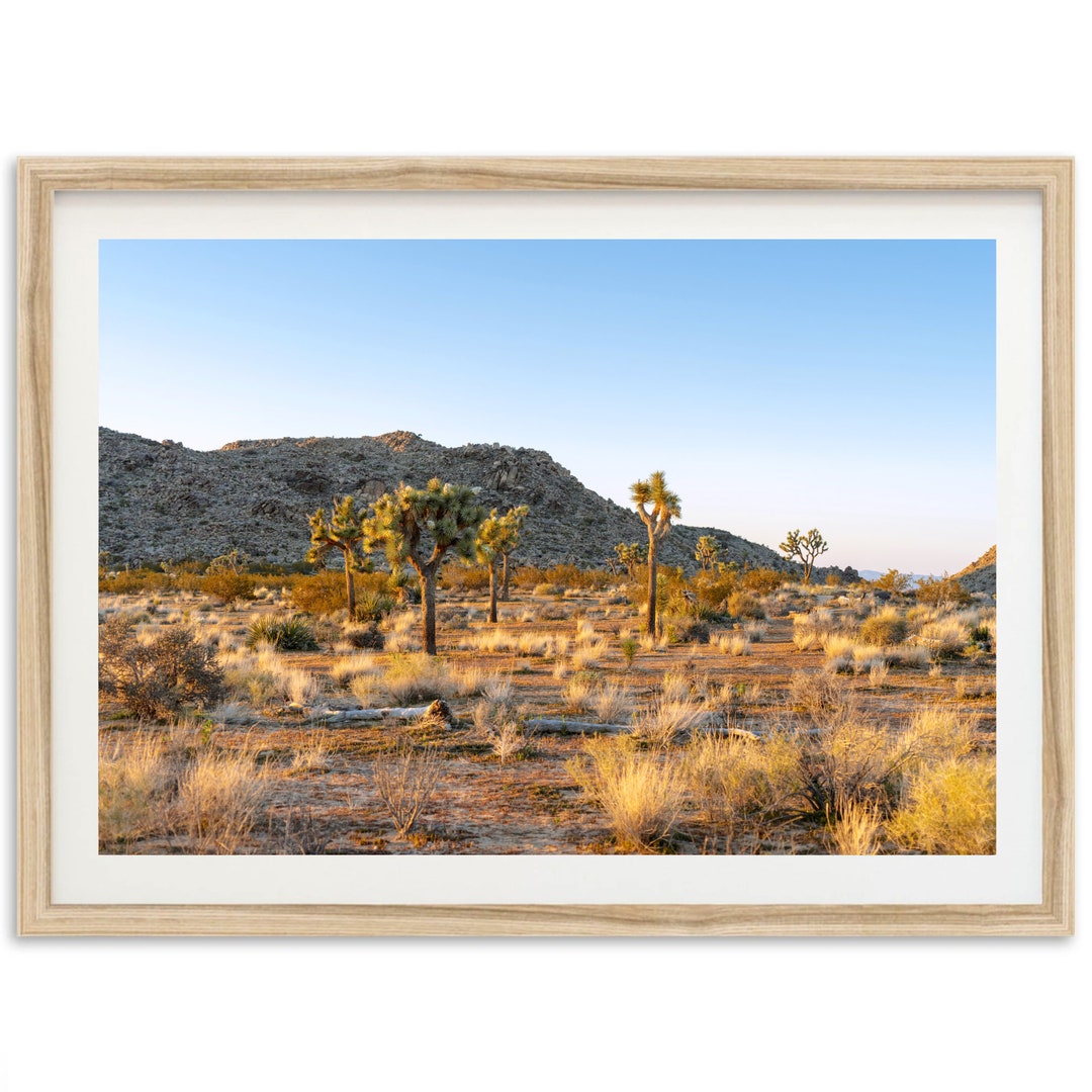 Fine Art Photography Print of Joshua Tree National Park for Boho Wall ...