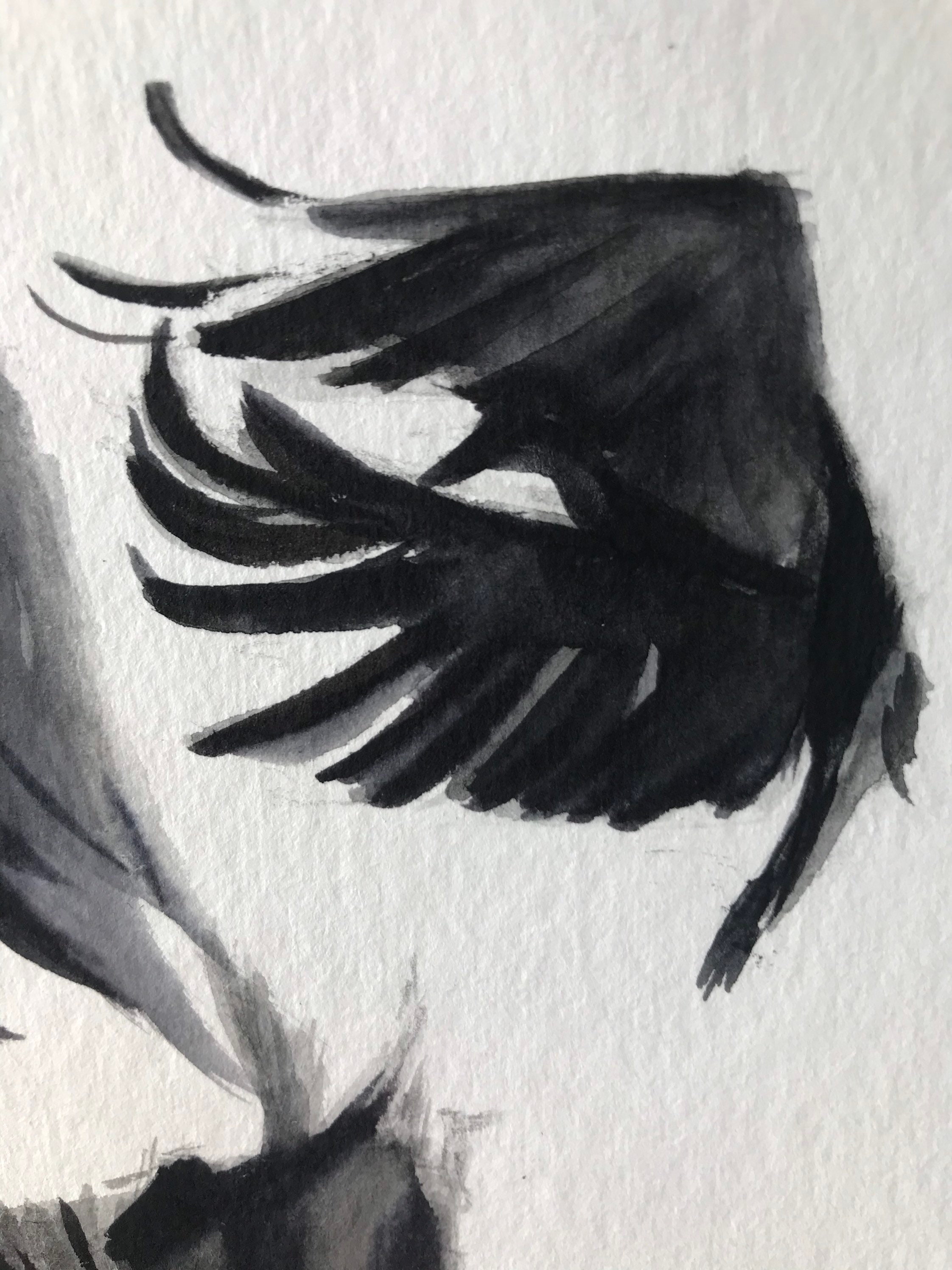 Le vol du corbeauillustration original Etsy