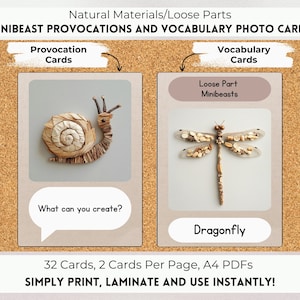 Schede fotografiche con provocazioni e vocabolario Loose Parts Minibeast, ispirate a Reggio, ispirate a Montessori, materiali naturali, aula naturalistica.