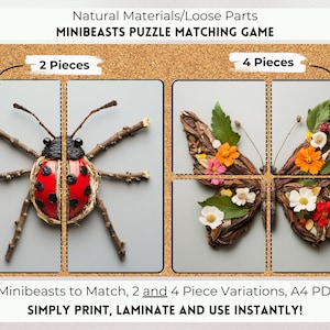 Gioco di abbinamento Minibeast, attività di abbinamento insetti, abbinamento animali, puzzle di simmetria, attività di abbinamento per bambini piccoli centro prescolare, parti sciolte