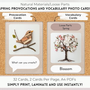 Loose Parts Spring Provocations and Vocabulary Photo Cards, Reggio Inspired, Montessori Inspired, Natural Materials, Nature Classroom.