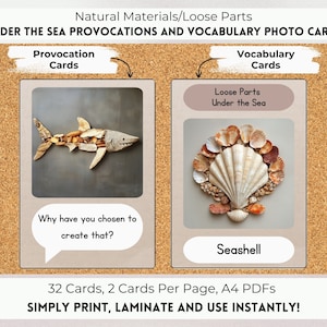 Loose Parts Under the Sea Provocations and Vocabulary Photo Cards, Reggio Inspired, Montessori Inspired, Natural Materials, Nature Classroom