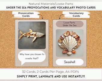 Loose Parts Under the Sea Provocations and Vocabulary Photo Cards, Reggio Inspired, Montessori Inspired, Natural Materials, Nature Classroom
