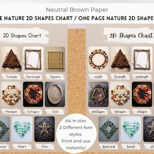 Gráfico de formas da natureza de uma página, pôster de formas 2D, cartões fotográficos de formas da natureza, formas de aprendizagem, decoração neutra, decoração de sala de aula pré-escolar EYFS.
